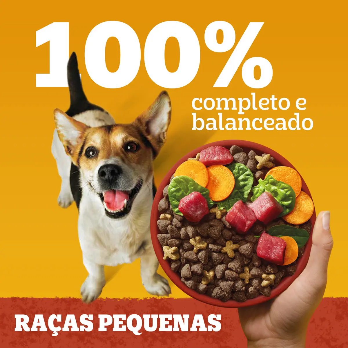 Ração Pedigree Cães Adultos Raças Pequenas 10,1kg